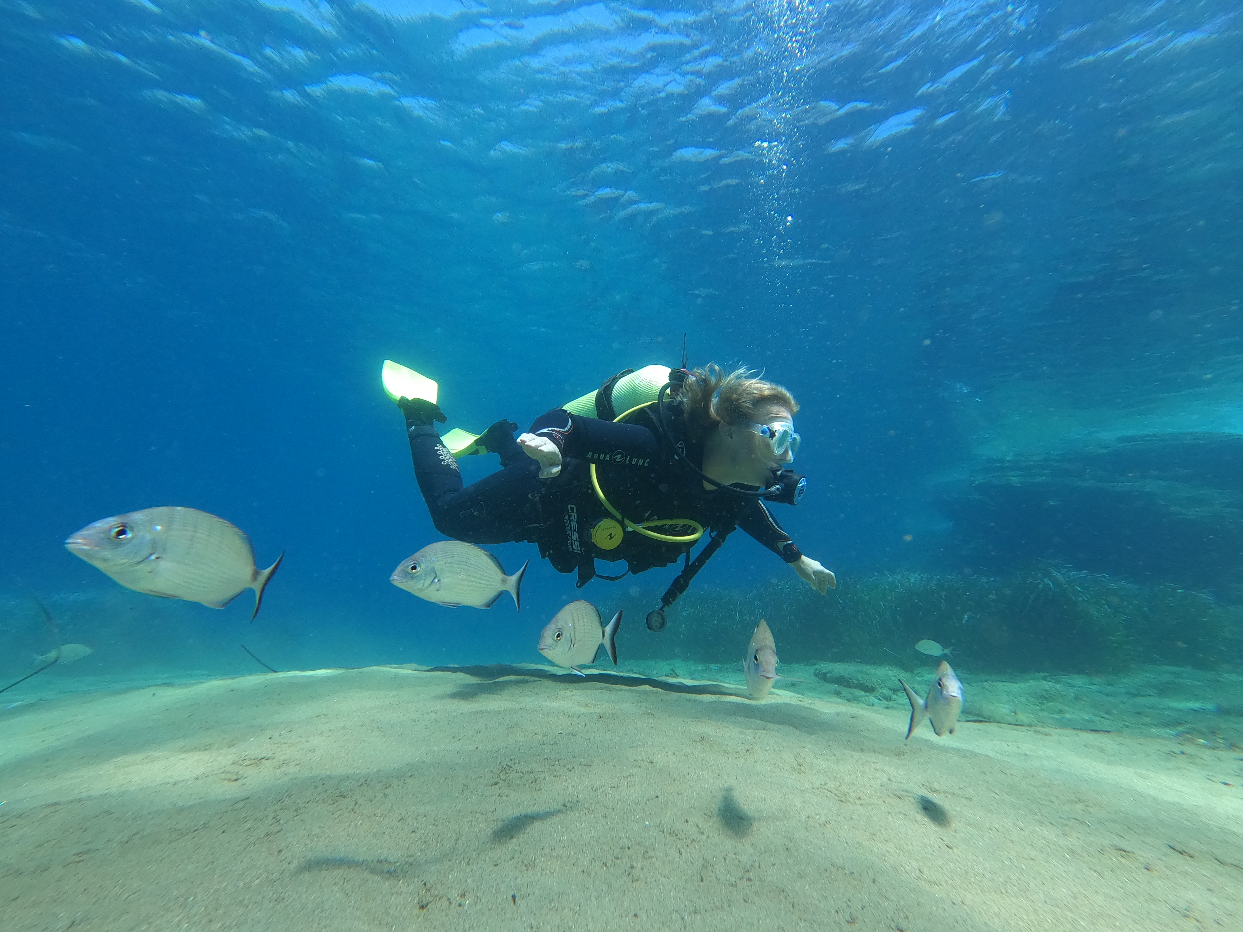 Private Discover Scuba Diving Experience in Andros