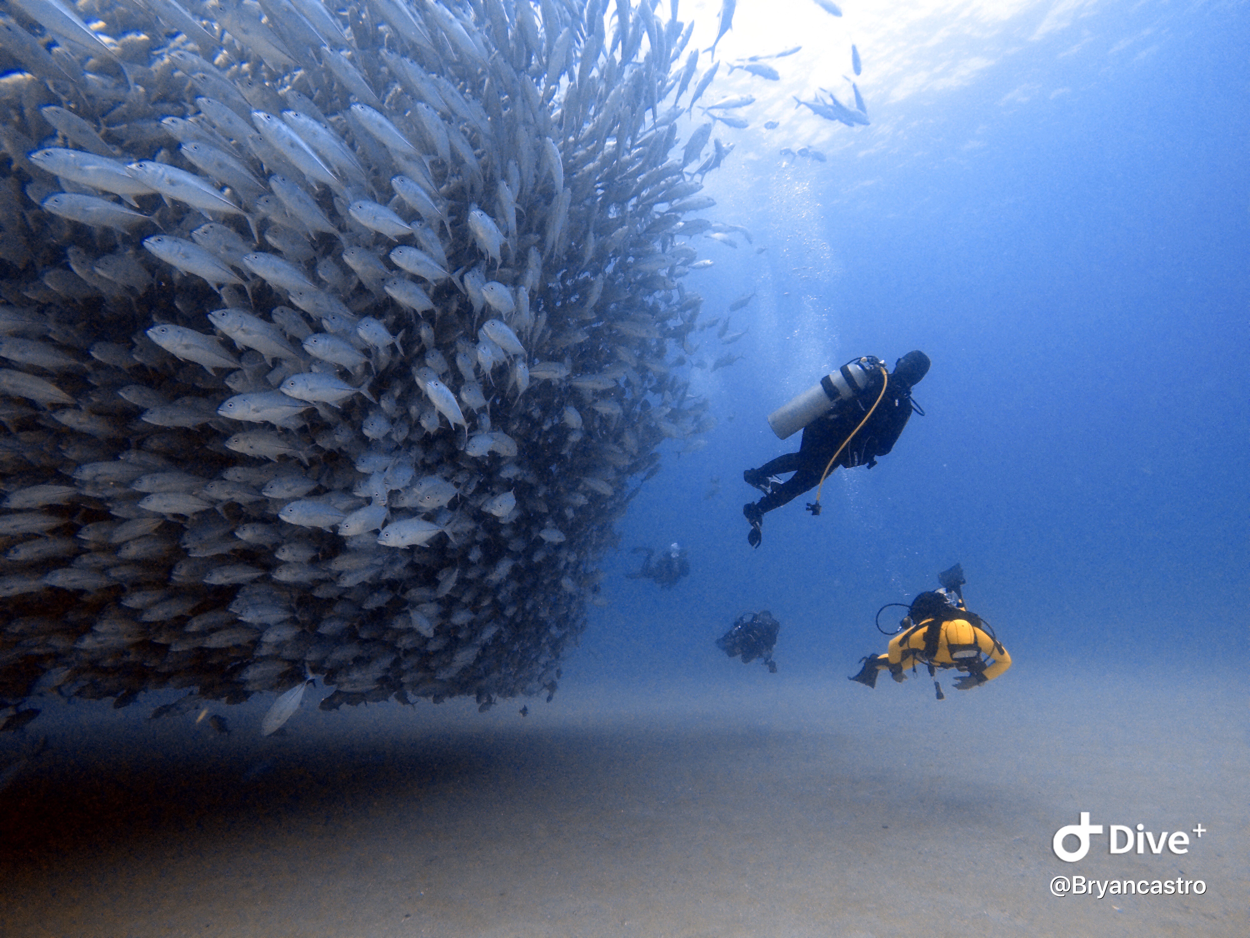 Scuba Diving 