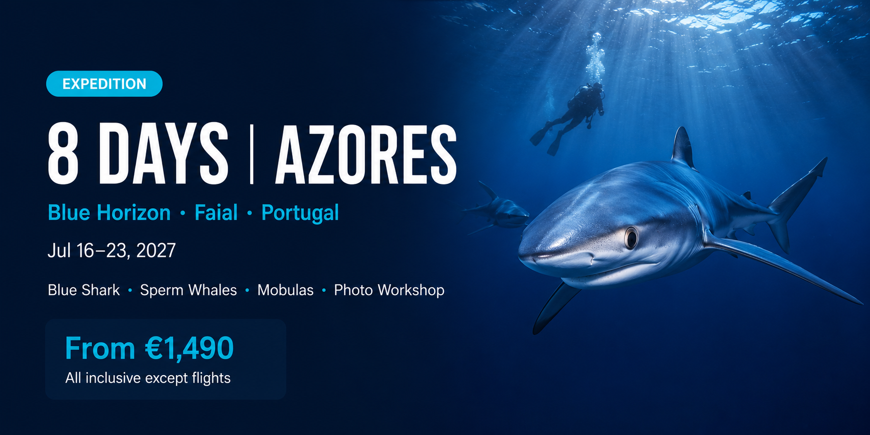 Blue Horizon - Azores