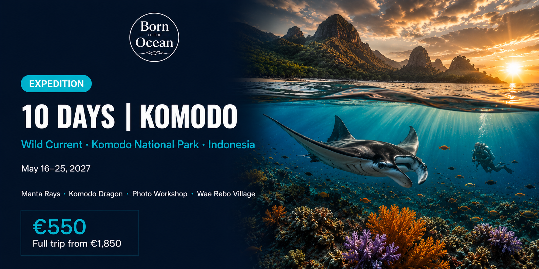 Wild Current - Komodo