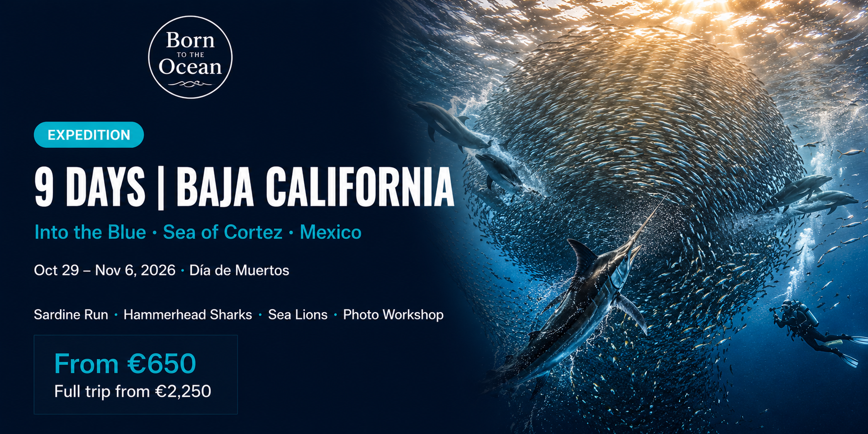 Baja California Sur - Into the Blue Expedition