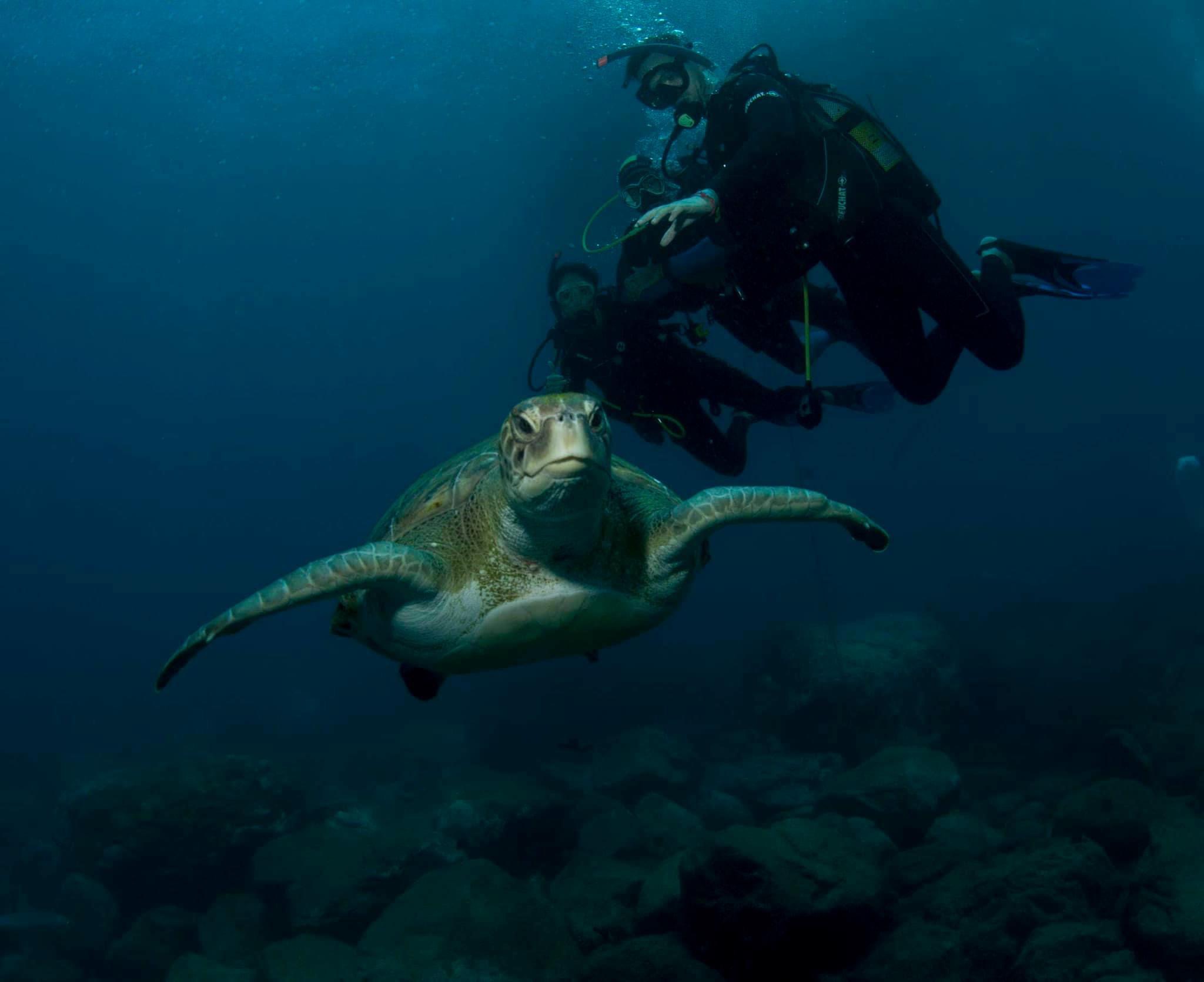 BAUTIZO DE BUCEO 