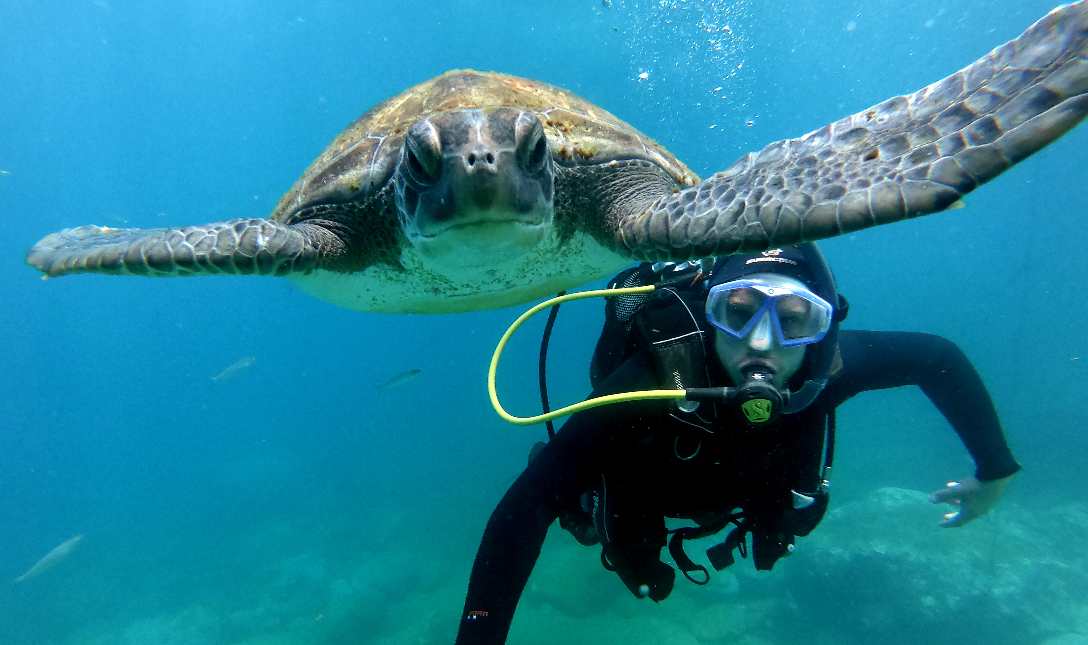 Bautizo de buceo infantil en Tenerife (hasta 2 metros)