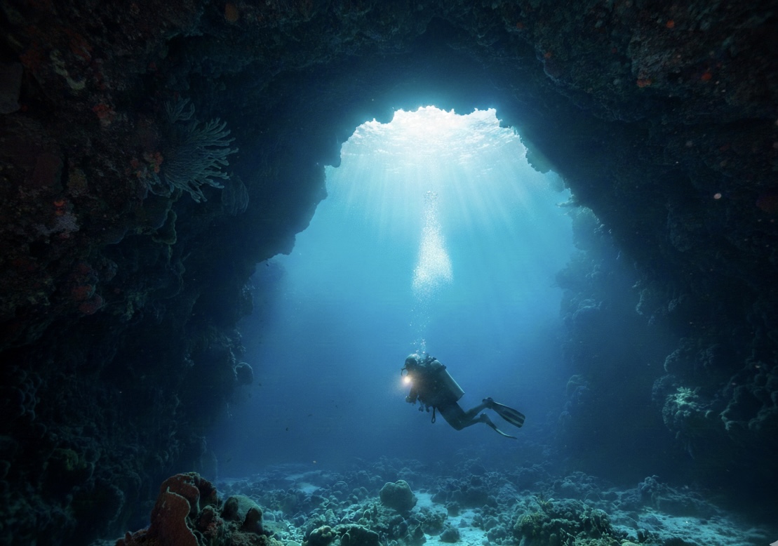 Curso PADI Open Water Diver