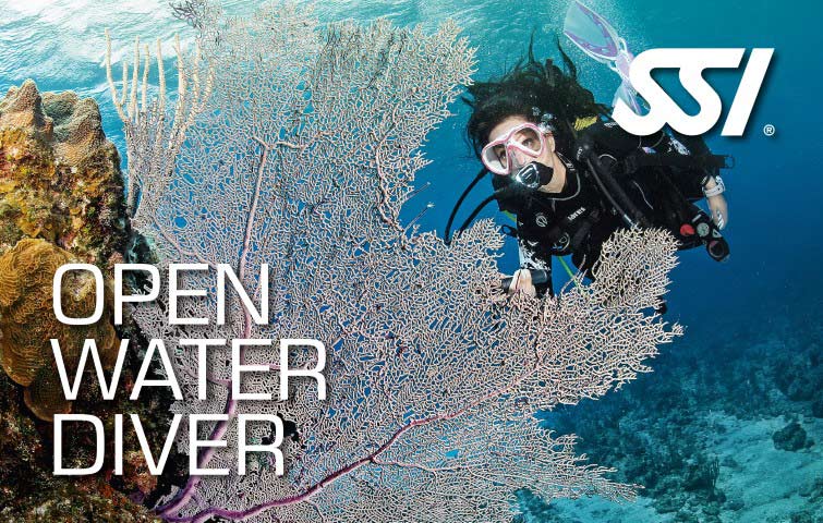 cursos de buceo padi,ssi o fedas