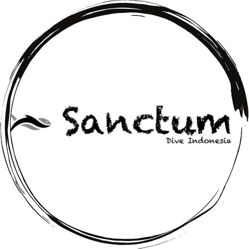 384471 Sanctum Dive Nusa Penida