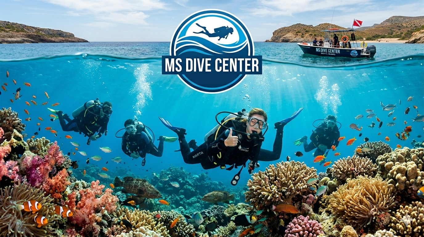 MS Dive center