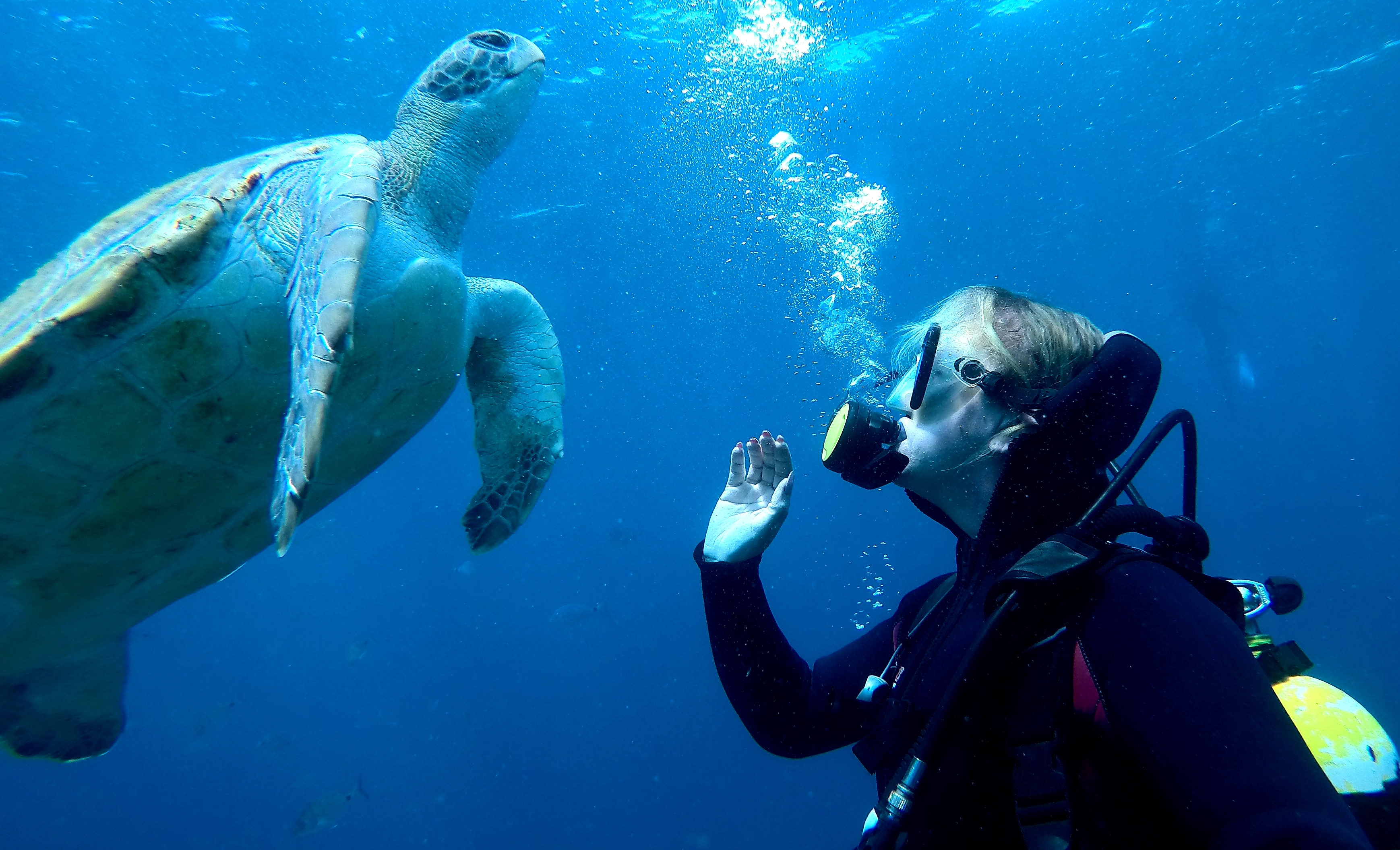 Travel Sub Dive Center