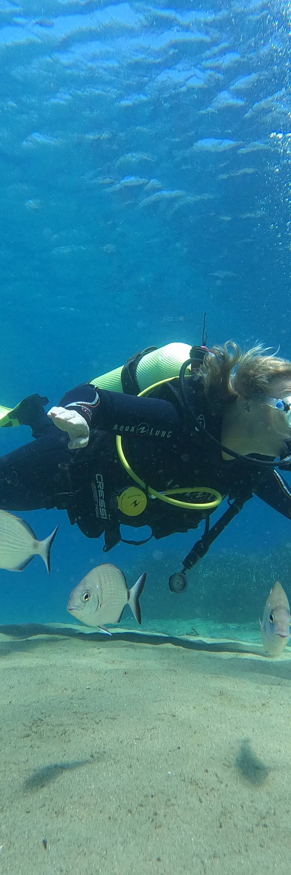 Private Discover Scuba Diving Experience in Andros