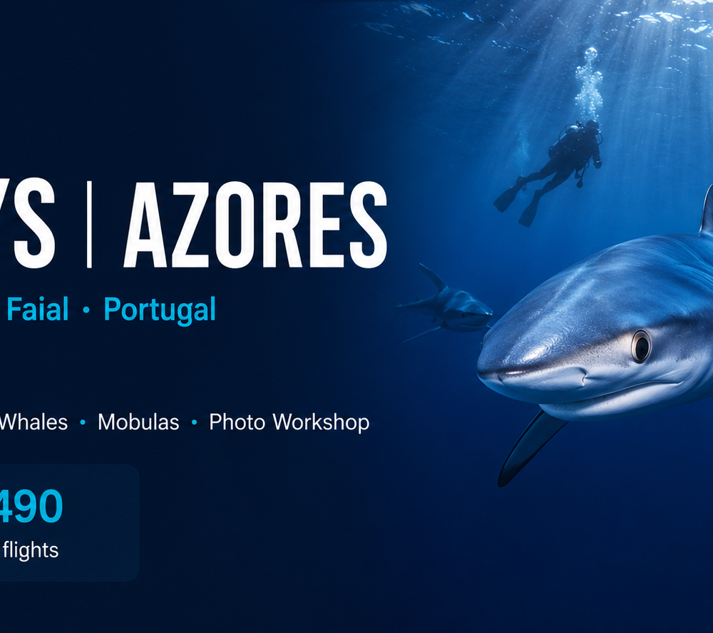 Blue Horizon - Azores