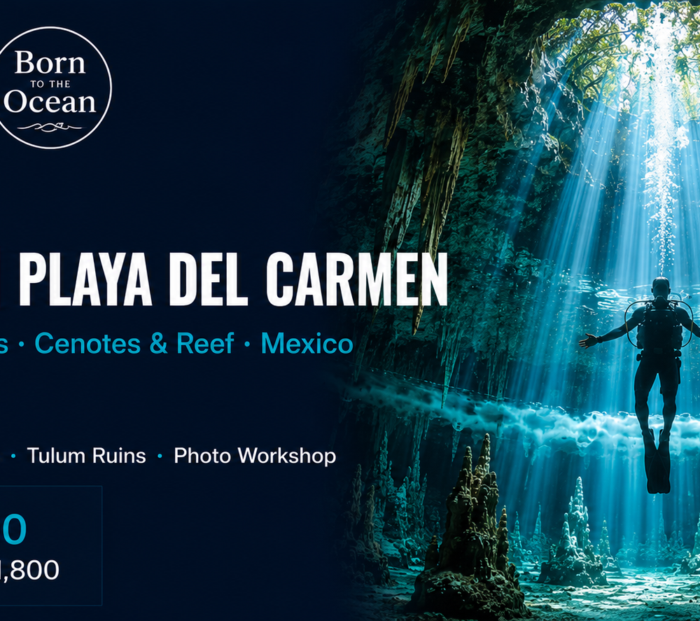 Playa del Carmen - Echoes of Water Expedition