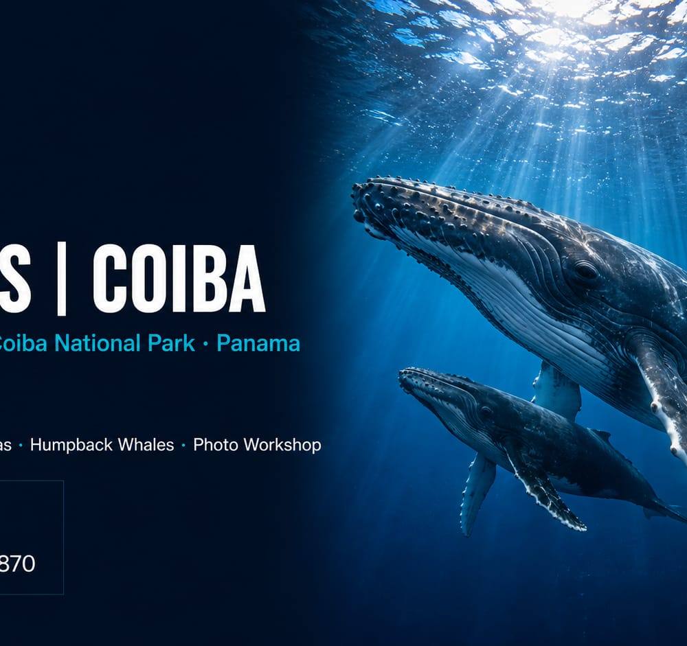 Wild Sanctuary - Coiba