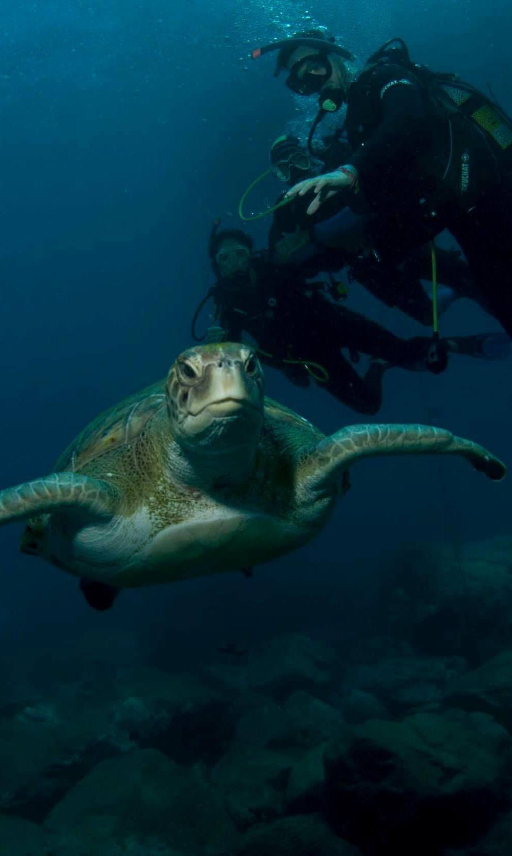 BAUTIZO DE BUCEO