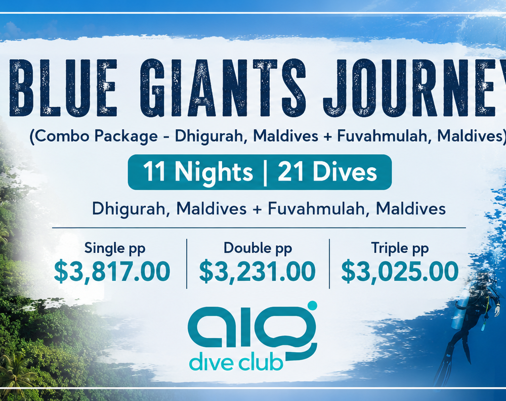 BLUE GIANTS JOURNEY (Combo Package - Dhigurah, Maldives + Fuvahmulah, Maldives)