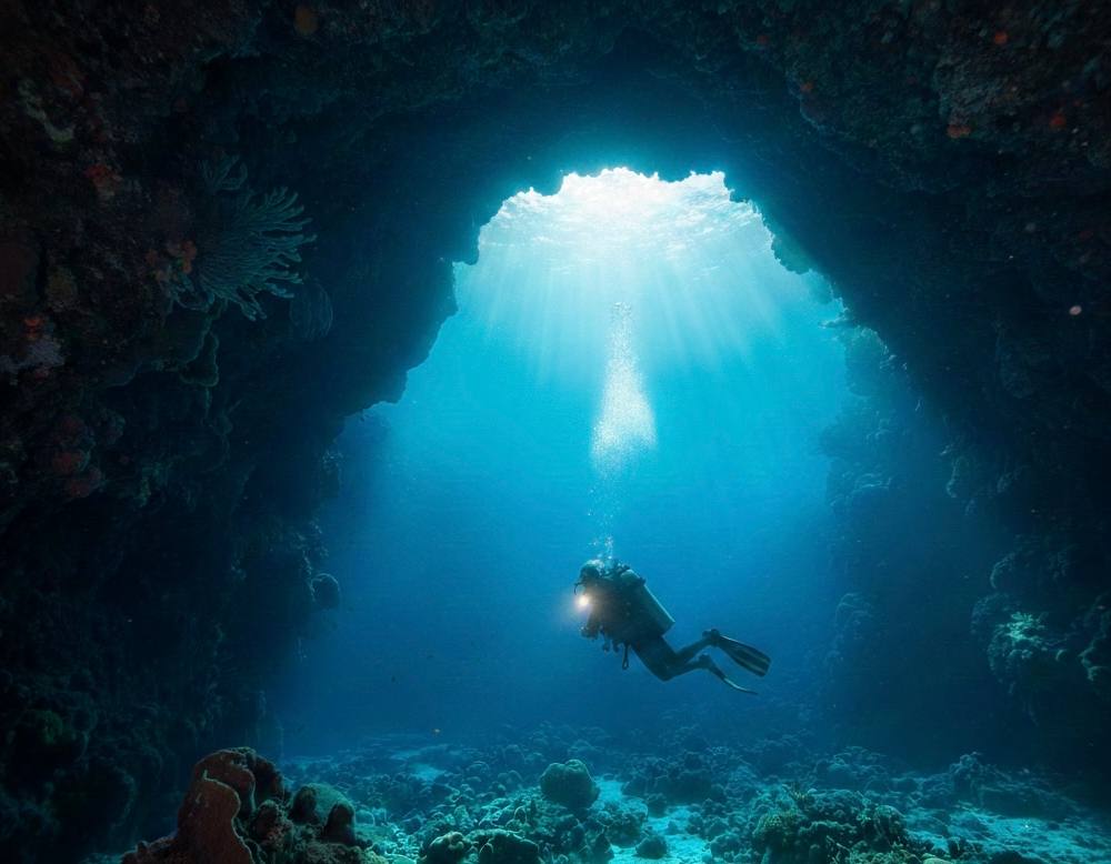 Curso PADI Open Water Diver