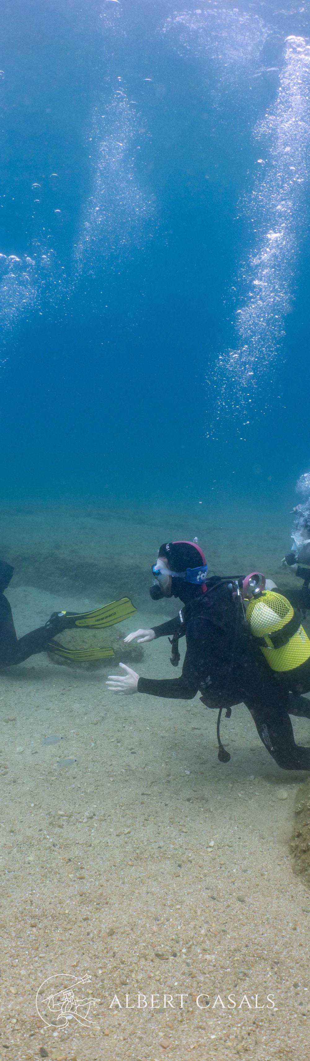 PADI Open Water Diver en Costa Brava