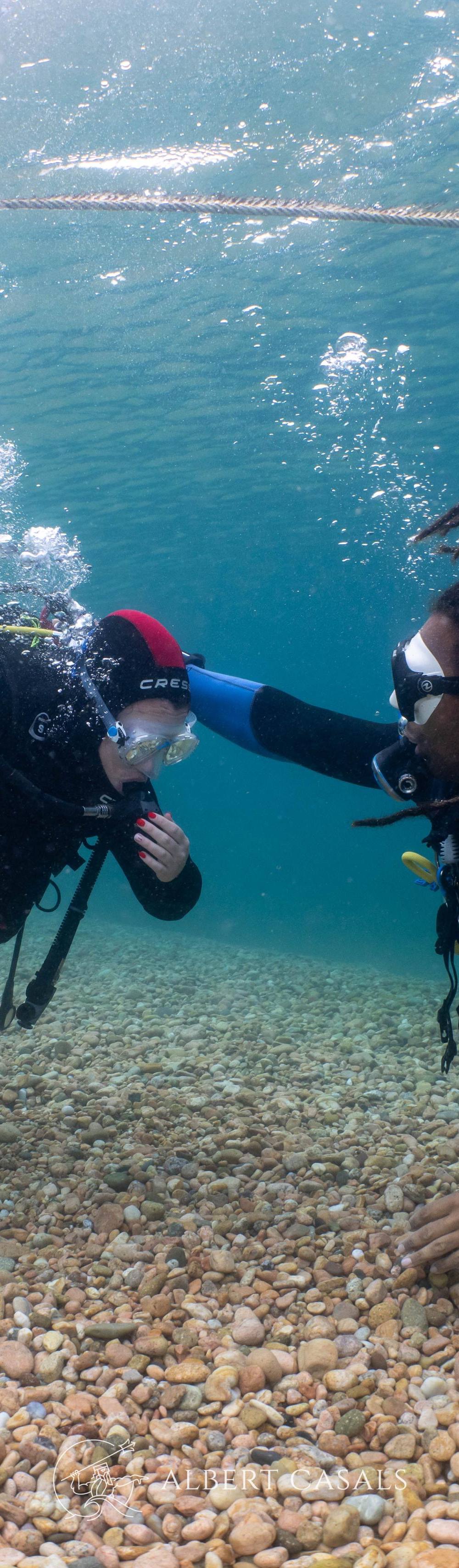 PADI Scuba Diver: Tu primer curso de buceo!